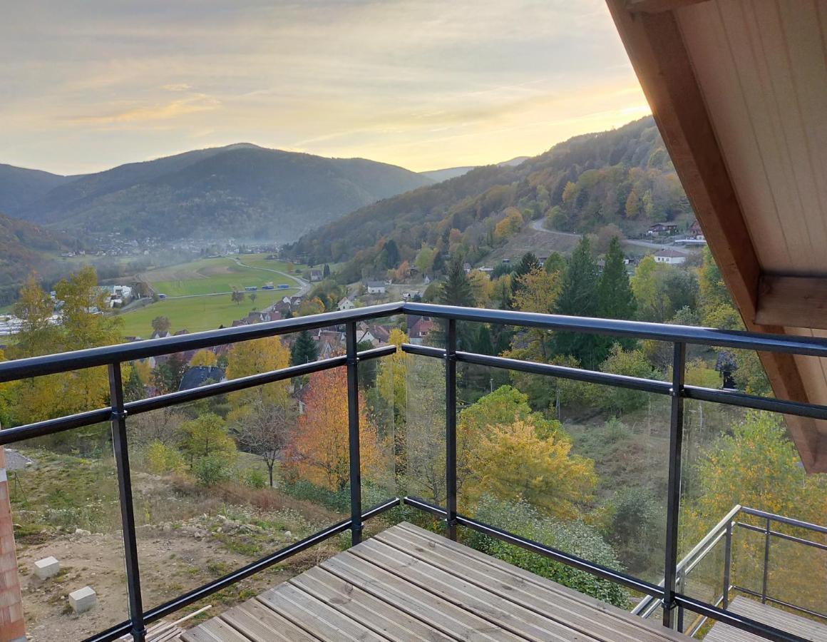 Au Chalet De Jo Мюльбах-сюр-Мюнстер Экстерьер фото