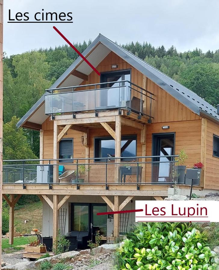 Au Chalet De Jo Мюльбах-сюр-Мюнстер Экстерьер фото
