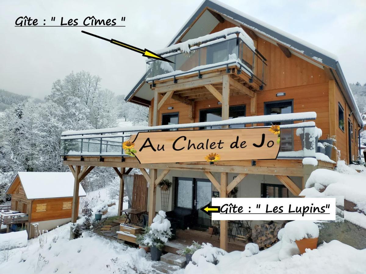 Au Chalet De Jo Мюльбах-сюр-Мюнстер Экстерьер фото